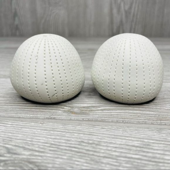 Ceramic sea urchin salt and pepper shaker set white ocean tropical - Picture 4 of 5